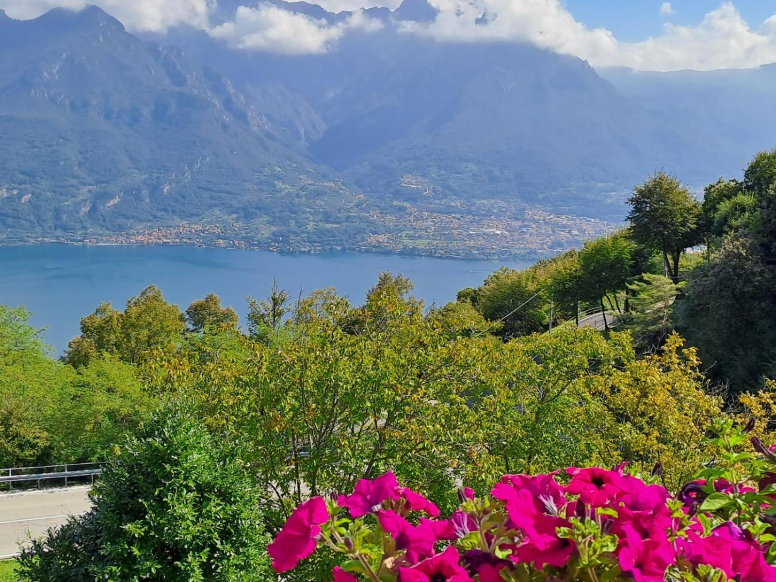 Bed & Breakfast Bellagio Exteriör bild